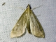 Image from 2026-05-07