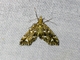 Image from 2026-05-07