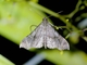 Image from 2026-05-07