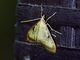 Image from 2026-05-07