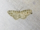 Image from 2026-05-07
