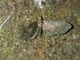 Image from 2026-05-07