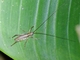 Image from 2026-05-07