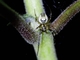 Image from 2026-05-07
