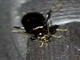 Image from 2026-05-07