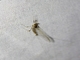Image from 2026-05-07