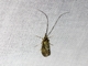 Image from 2026-05-07