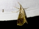 Image from 2026-05-07