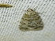 Image from 2026-05-07