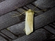 Image from 2026-05-07