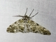 Image from 2026-05-07
