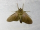 Image from 2026-05-07