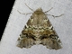 Image from 2026-05-07