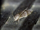 Image from 2026-05-07