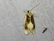 Image from 2026-05-07
