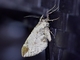 Image from 2026-05-07
