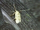 Image from 2026-05-07