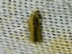 Image from 2026-05-07