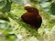Image from 2026-05-08