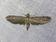 Image from 2026-05-08