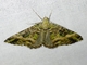Image from 2026-05-08