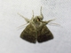 Image from 2026-05-08