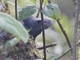 Image from 2026-05-11