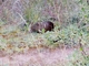 Image from 2026-05-12