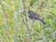 Image from 2026-05-12