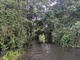 Boat Trip