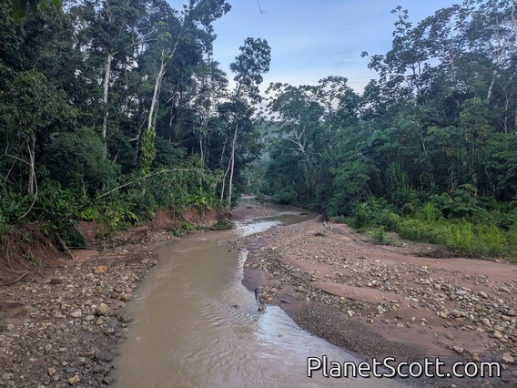 River near Sadiri Lodge