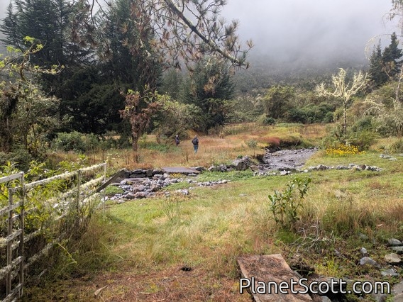 Jucumary Hike