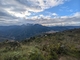 Coroico