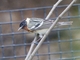 Image from 2026-05-16