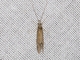 Net-spinning Caddisfly (Hydropsychidae sp)