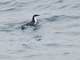 Image from 2026-07-05