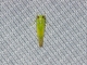 Potato Leafhopper (Empoasca fabae)
