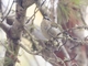 Image from 2026-08-15