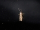 Dingy Dowd (Blastobasis adustella)