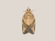 Image from 2026-08-22
