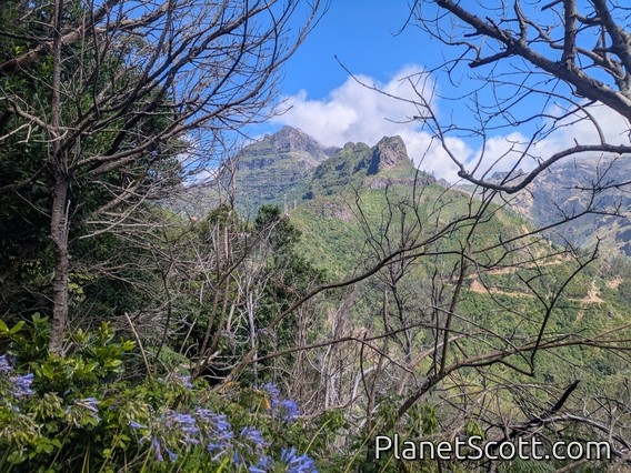 Madeira Mountains