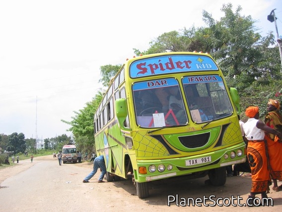 Spider Kid Bus Company, Tanzania