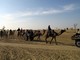 Camel Safari, Bikaner