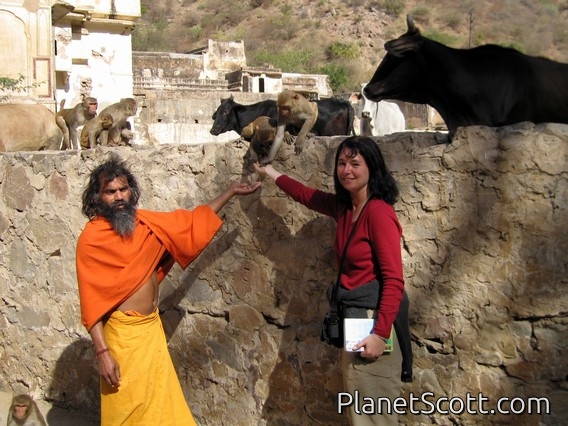 Monkey Temple, Jaipur