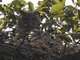 Image from 2006-01-09