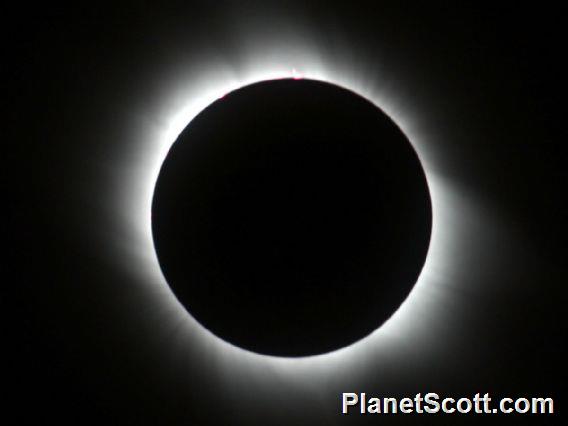 Total Solar Eclipse, prominences and corona visible
