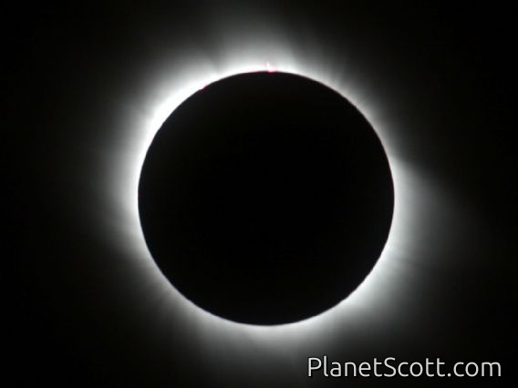 Total Solar Eclipse, prominences and corona visible