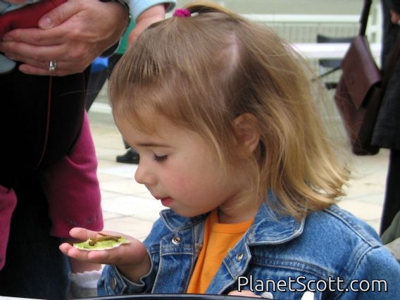 Randall Museum Bug Day 2006