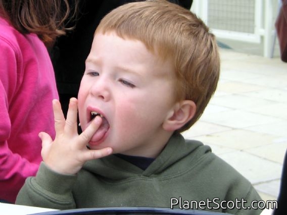 Finger Licking Good, Randall Museum Bug Day 2006