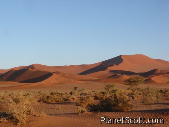 Sand Dunes, Namibia